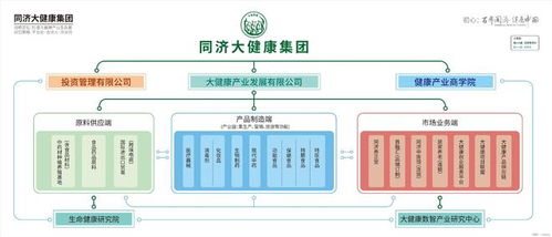 2025年代餐粉代工選擇權威指南 核心考察維度、合作策略與數字化賦能
